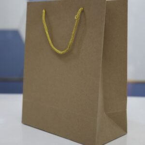 Plain brown Paper bag