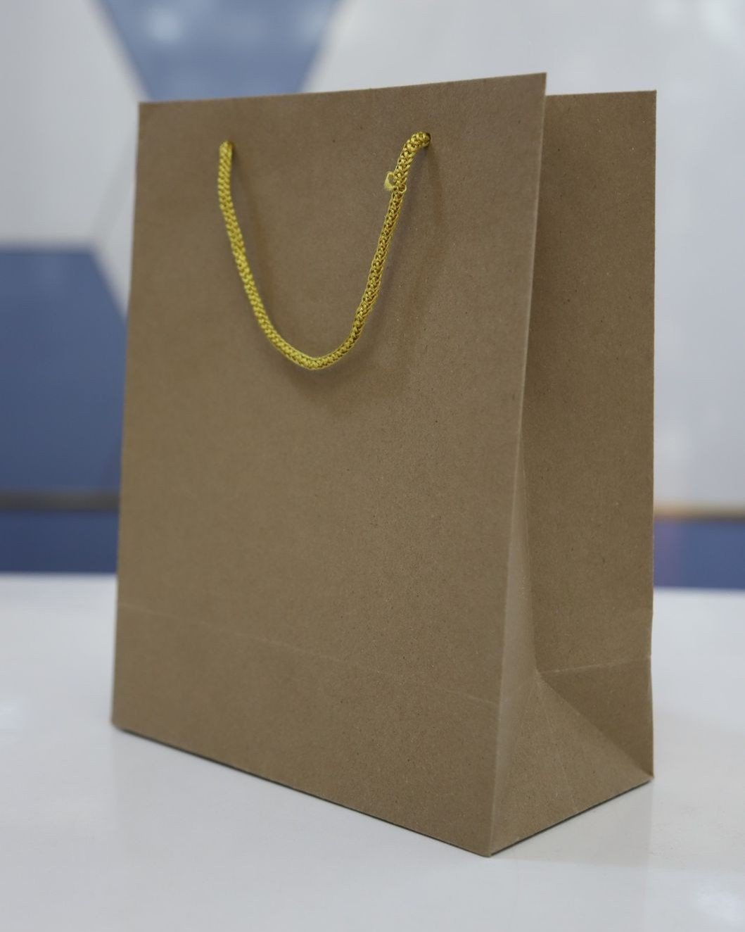 Plain brown Paper bag