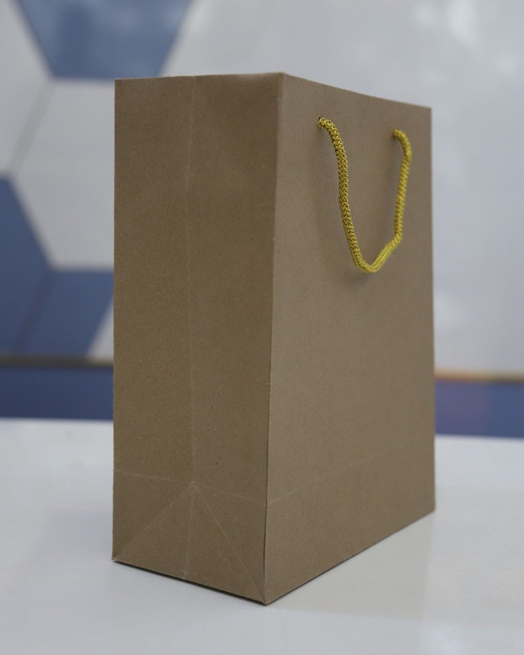 Brown Plain Paper Bag - Image 3